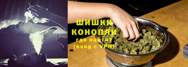 индика Домодедово