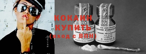 шишки Горняк