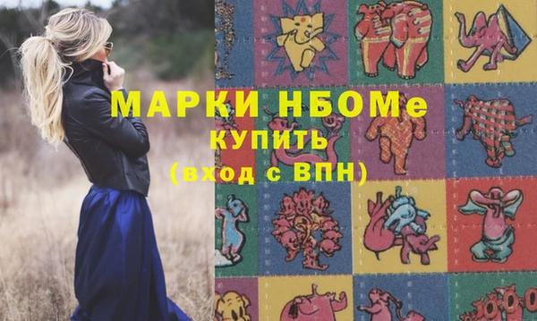 шишки Горняк