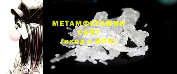 шишки Горняк